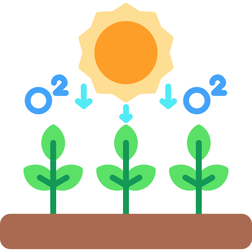 fotosíntesis Generic color fill icono