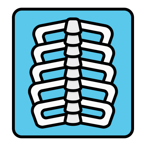 X ray Generic color lineal-color icon