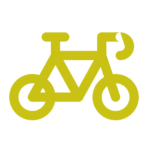 Bike Generic color outline icon
