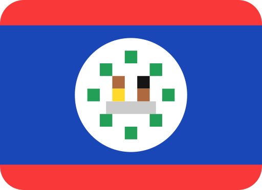 Flag Generic Others icon