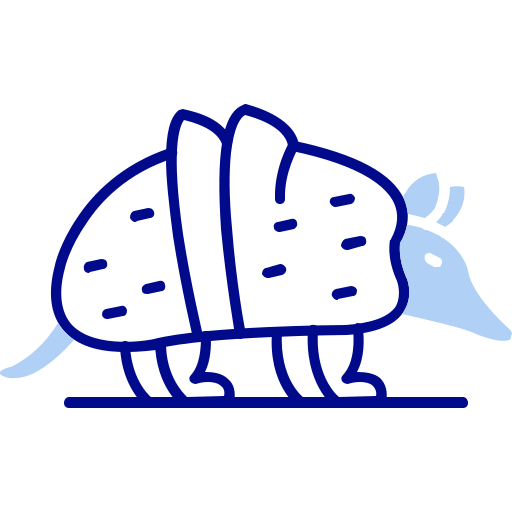 armadillo Generic color lineal-color icono