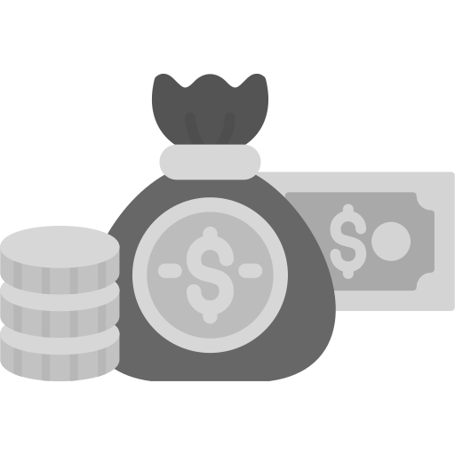 Funding Generic color fill icon
