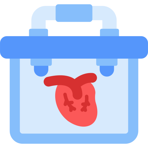 臓器提供 Generic color fill icon