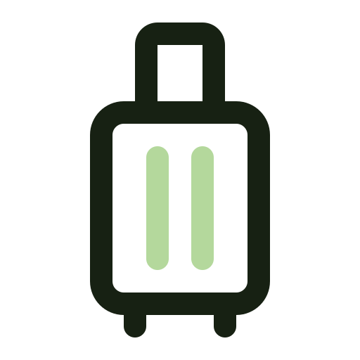 Travel bag Generic color outline icon