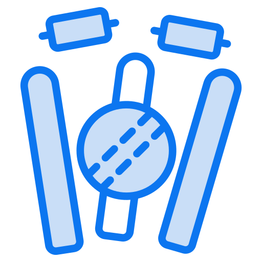 Cricket Generic color lineal-color icon