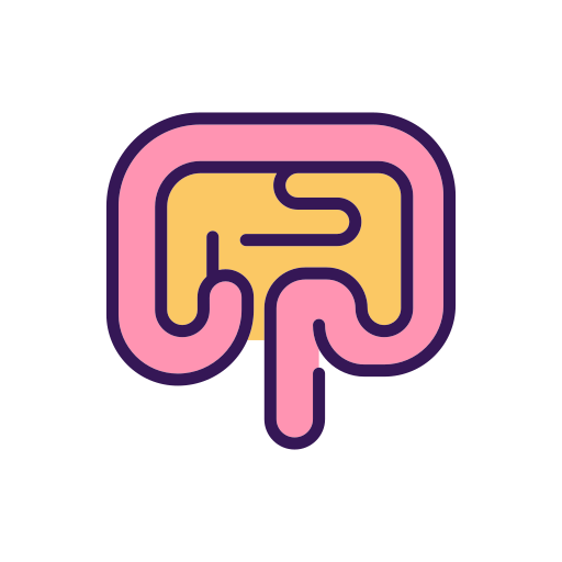 intestino Generic color lineal-color icona
