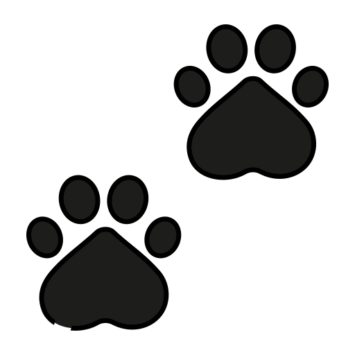 Paws Generic color lineal-color icon