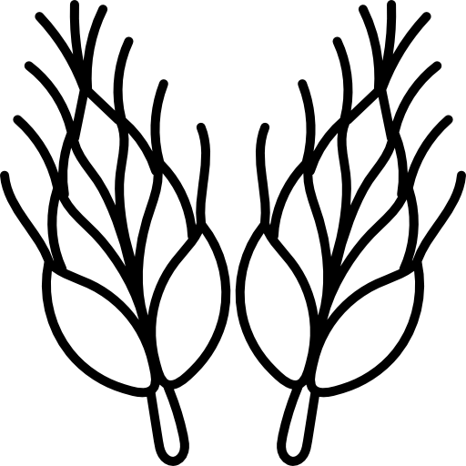 pszenica Hand Drawn Black ikona