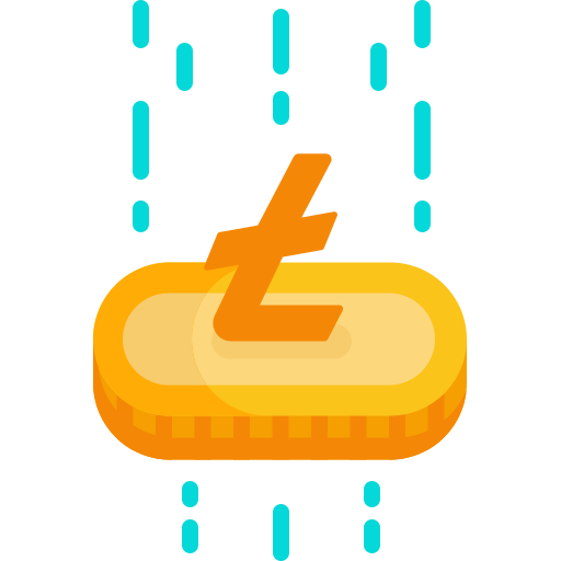 Litecoin Special Flat icon