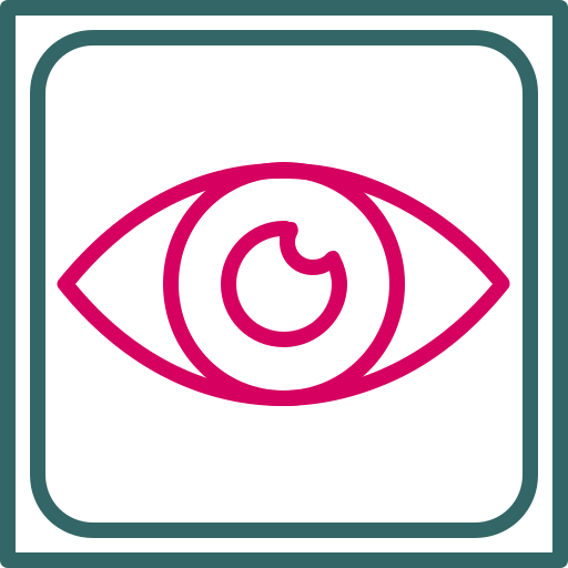 rozpoznawanie oczu Generic color outline ikona