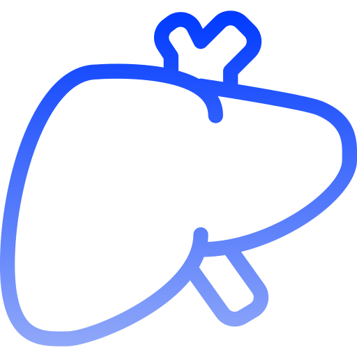 肝臓 Generic gradient outline icon