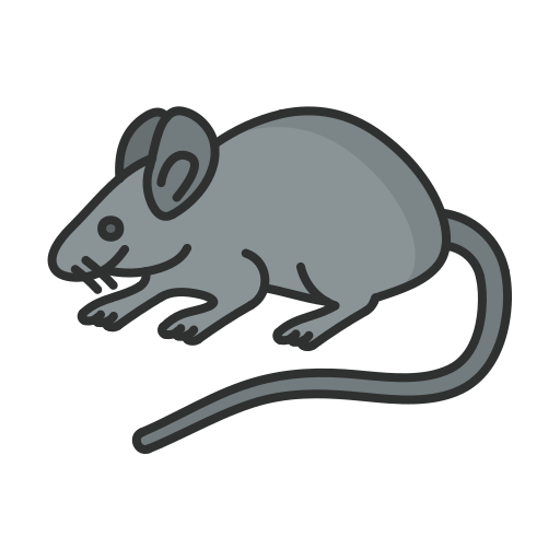 생쥐 Generic color lineal-color icon