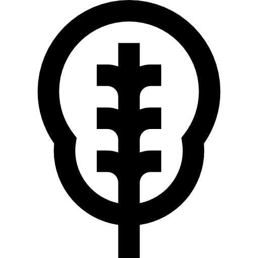 espinacas Vitaliy Gorbachev Lineal icono