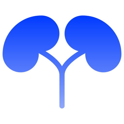 Kidneys Generic gradient fill icon