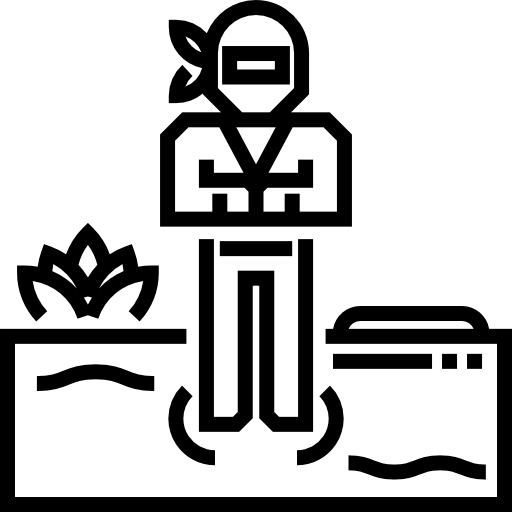 忍者 Detailed Straight Lineal icon