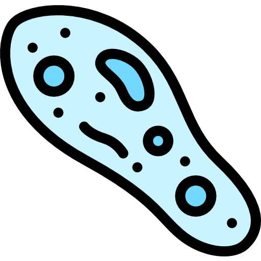 paramecium Detailed Rounded Lineal color icoon