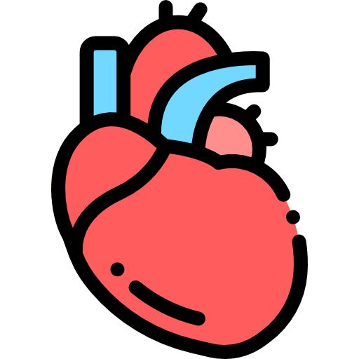 心臓 Detailed Rounded Lineal color icon