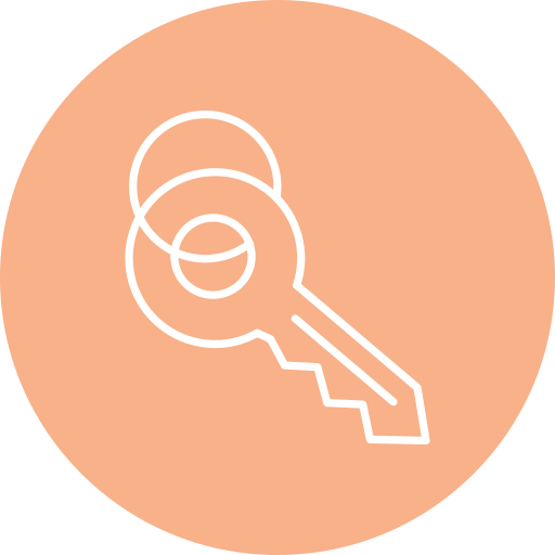 Key Generic color fill icon