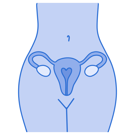 órgãos femininos Generic color lineal-color Ícone