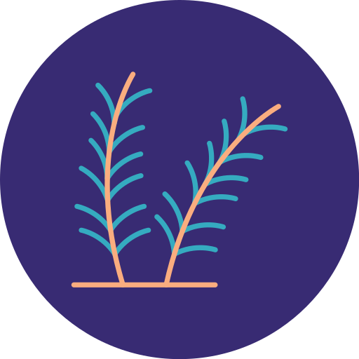 Rosemary Generic color lineal-color icon