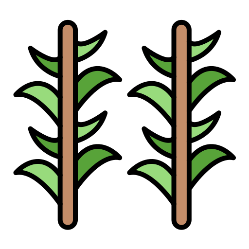 Rosemary Generic color lineal-color icon
