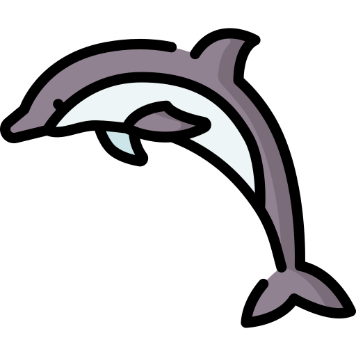 Dolphin Special Lineal color icon