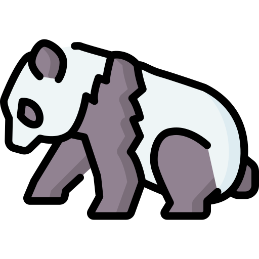 Panda Special Lineal color icon