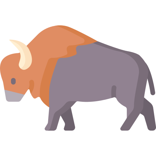bizon Special Flat icoon