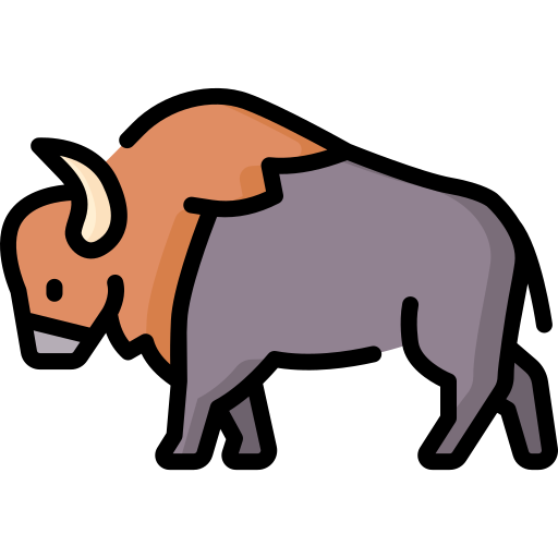 bison Special Lineal color icon