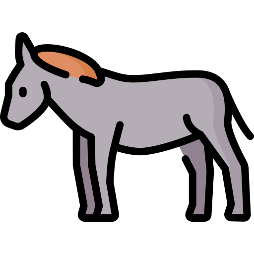 Donkey Special Lineal color icon