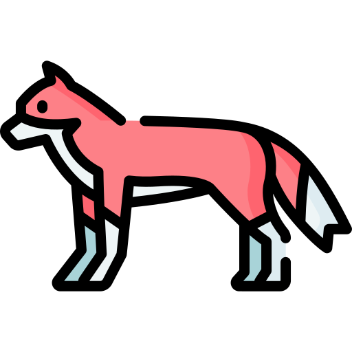 fuchs Special Lineal color icon