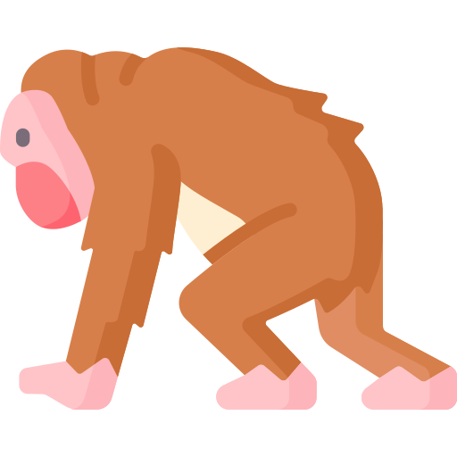 orangutan Special Flat icona