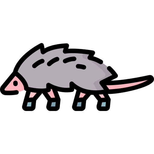 Opossum Special Lineal color icon