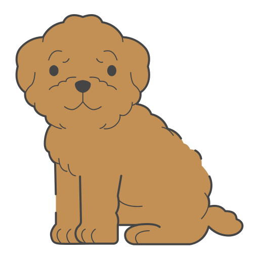 Poodle Generic color lineal-color icon