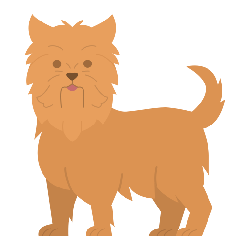 yorkshire-terrier Generic color fill icon