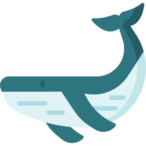 고래 Special Flat icon