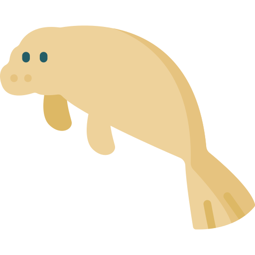 Manatee Special Flat icon