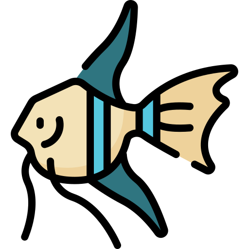 kaiserfisch Special Lineal color icon