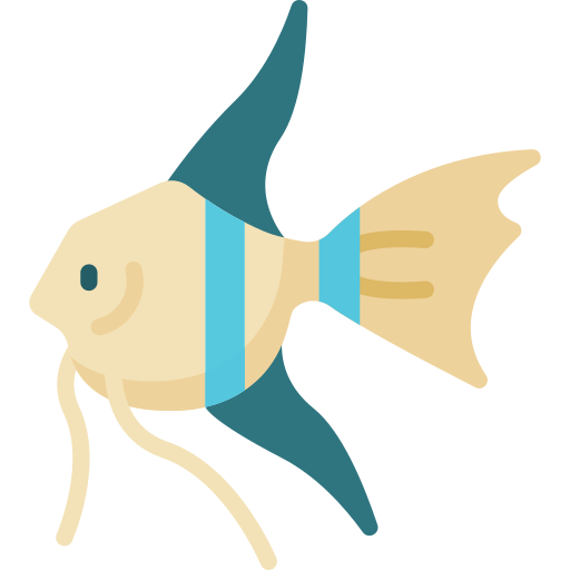 Angelfish Special Flat icon