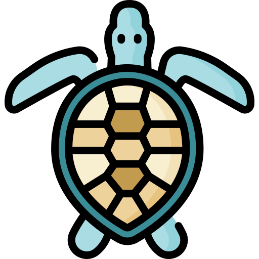 tartaruga di mare Special Lineal color icona