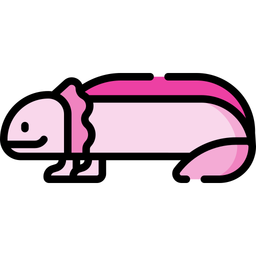 axolotl Special Lineal color icona