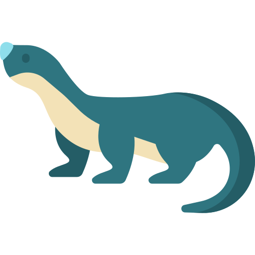 seeotter Special Flat icon