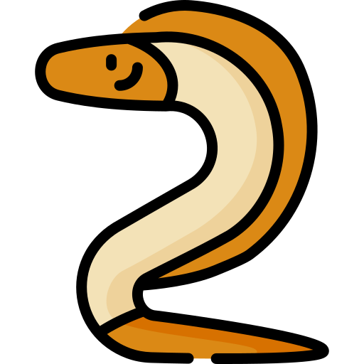 Eel Special Lineal color icon