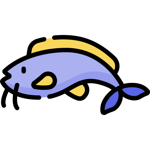 fisch Special Lineal color icon