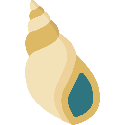 Sea snail Special Flat icon