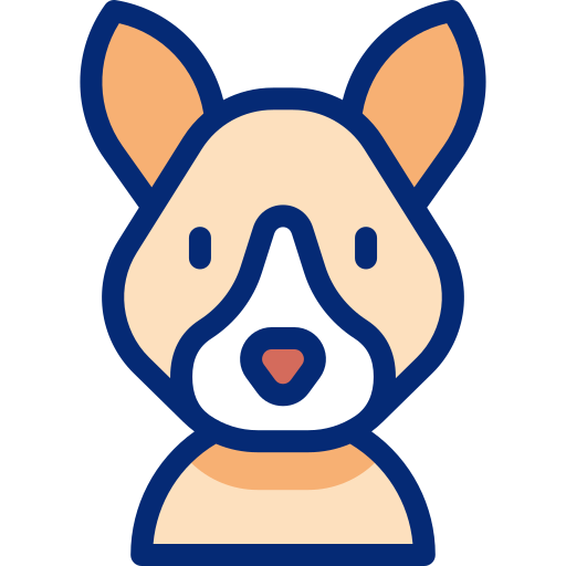 Kangaroo Basic Accent Lineal Color icon