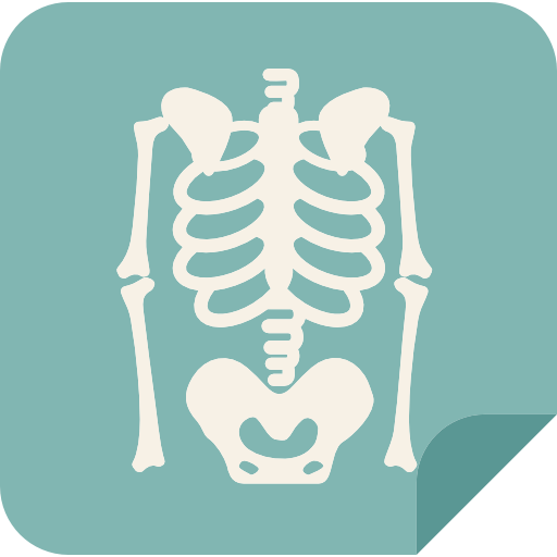 X rays Special Flat icon