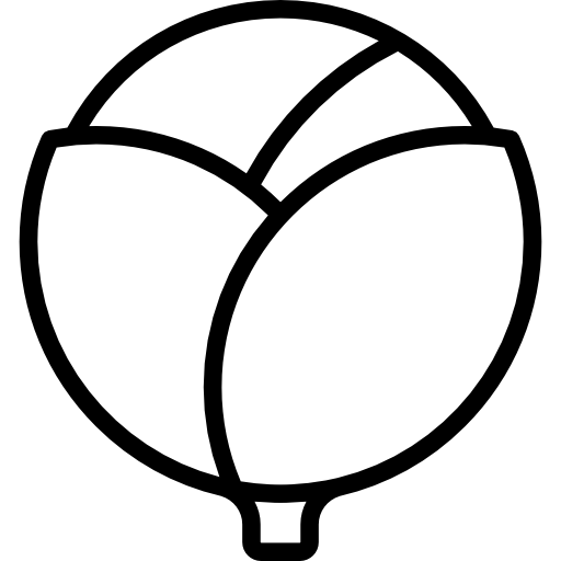 キャベツ Special Lineal icon