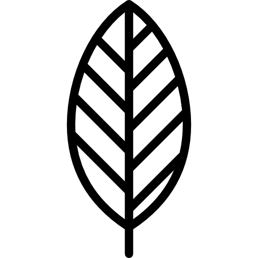 잎 Special Lineal icon