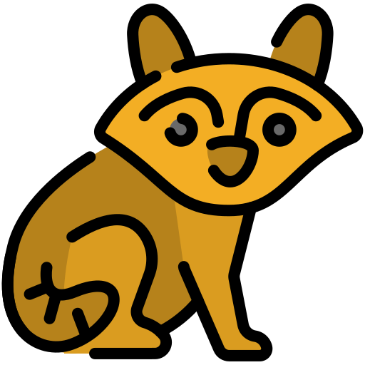 Raccoon Generic color lineal-color icon